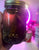 Crown Of Success Oil